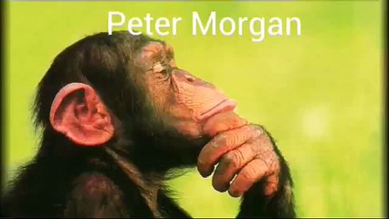 Peter Morgan Mindfulness of Breath meditation (News World)