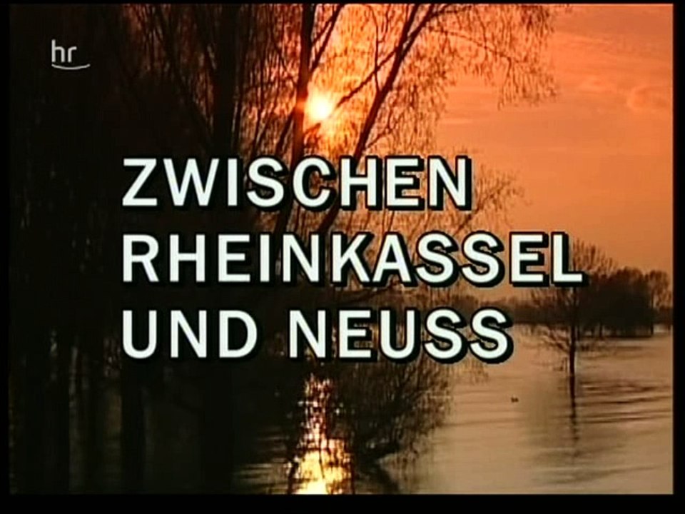 Zwischen Rheinkassel und Neuss