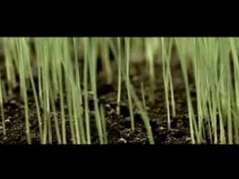 Linkin Park What Ive Done