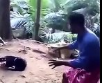 Funny Dog Attack in Kerala India - Funny Animal Attack