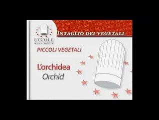 Piccoli Vegetali - L orchidea CD13