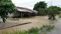 Cultivos y familias afectadas en cantones de Los Ríos