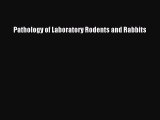 Read Pathology of Laboratory Rodents and Rabbits PDF Free