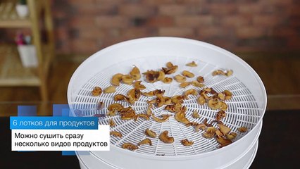 Огромная сушилка для фруктов и овощей Ветерок 2