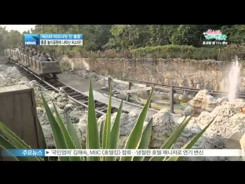 [Y-STAR] Midnight in Hongkong with SISTAR! ([씨스타의 미드나잇 인 홍콩], 씨스타 홍콩 놀이동산에 뜨다!)