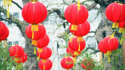 Kung Fu Panda 3 - Exclusive European Premiere Report