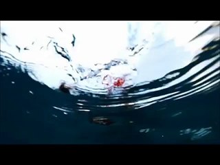 Incredible India 20 Second