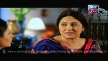 Hamari Bitya Episode - 113 - 7th March 2016