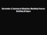 Read Surrender: A Journey of Adoption: Mending Fences: Building Bridges Ebook Free