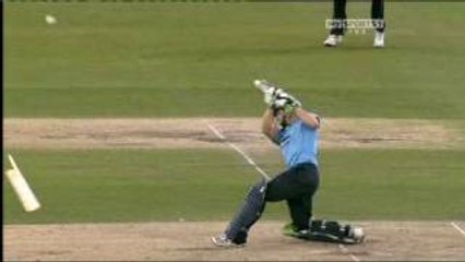 Top 3 incidents when Cricket BAT broke in Batsmen's hand