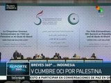 V Cumbre de la OCI en Yakarta discute violencia israelí en Palestina