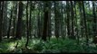 The Forest TV SPOT - Prepare to Enter (2016) - Natalie Dormer, Taylor Kinney Movie HD