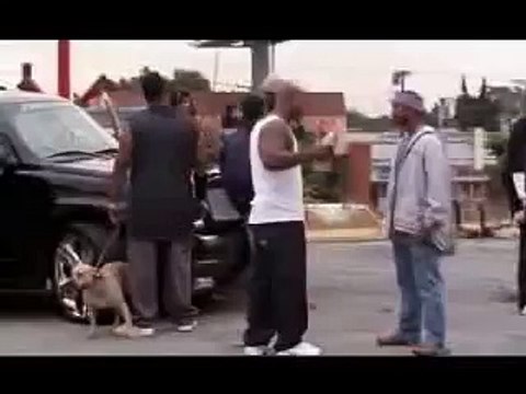 Все самые смешные и короткие видео