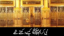 Hamary Rasool  Nabi-e-Karim Hazrat Muhammad (S.A.W) kese dikhte thay?