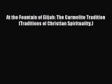 Download At the Fountain of Elijah: The Carmelite Tradition (Traditions of Christian Spirituality.)