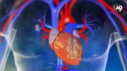 Kalbi besleyen özel ağ