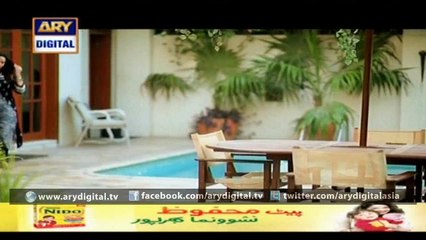 Watch Vasl-e-Yaar – Last Episode – 7th March 2016 on ARY Digital