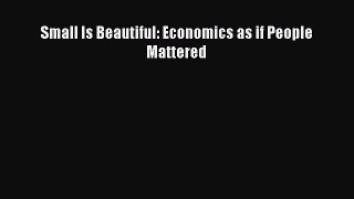 Read Small Is Beautiful: Economics as if People Mattered Ebook Free
