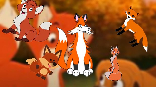 Finger Family Fox Finger Family Songs Animals Finger Family Rhymes for Children