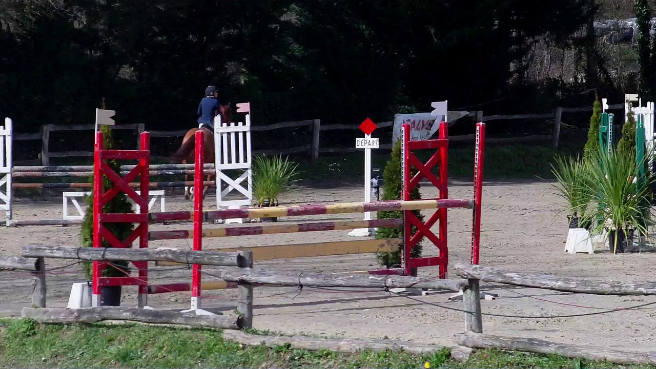 horse ball prépa 1,10 horse ball