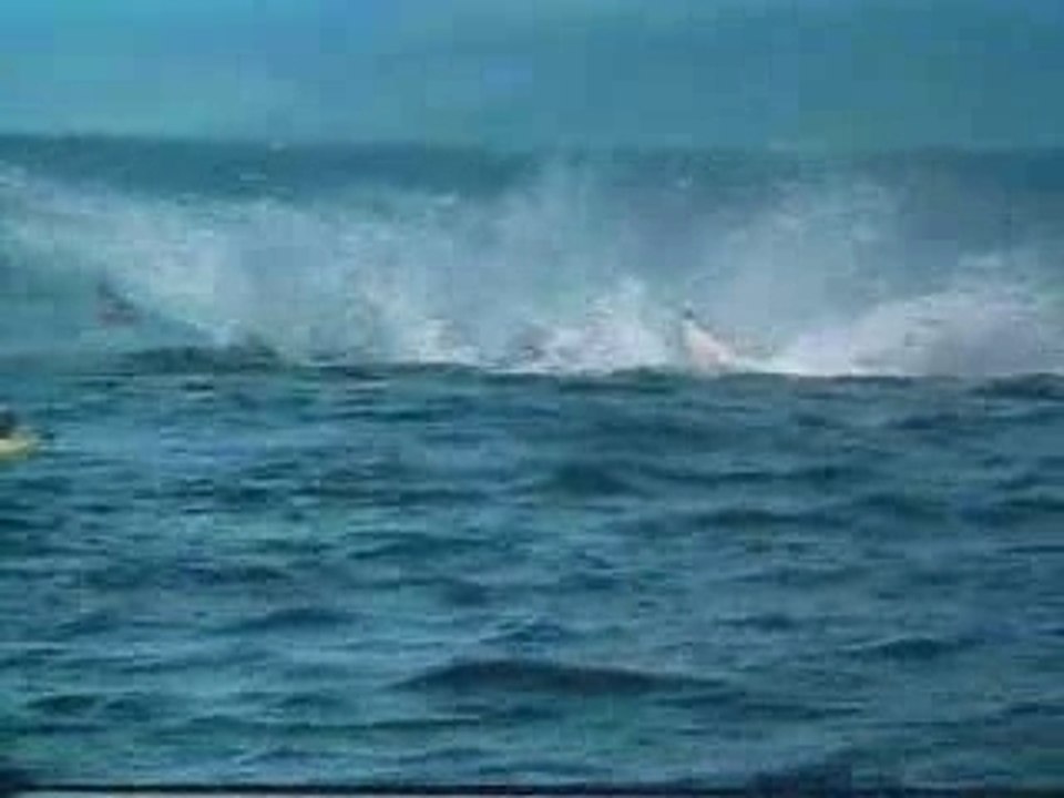 l'orque attaque