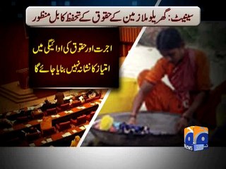 Senate passes Domestic Workers Bill