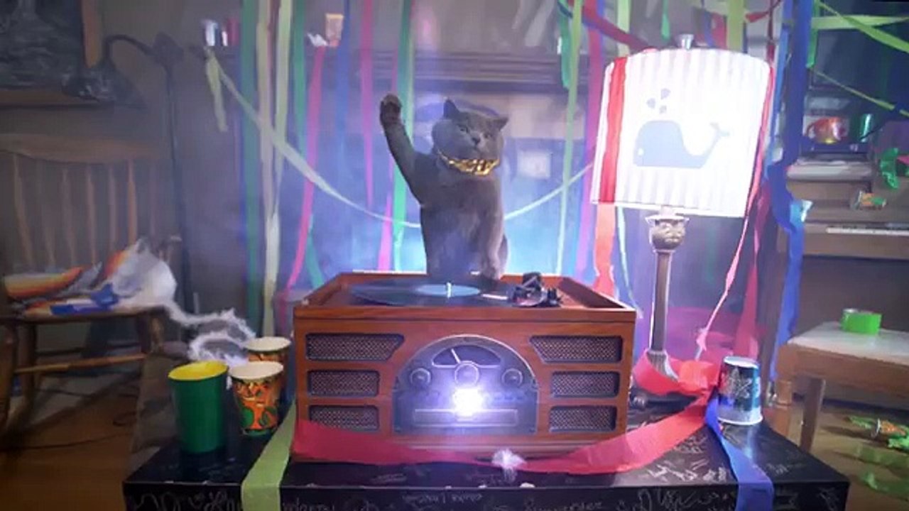 Epic Cat House Party - truth x Aaron's Animals