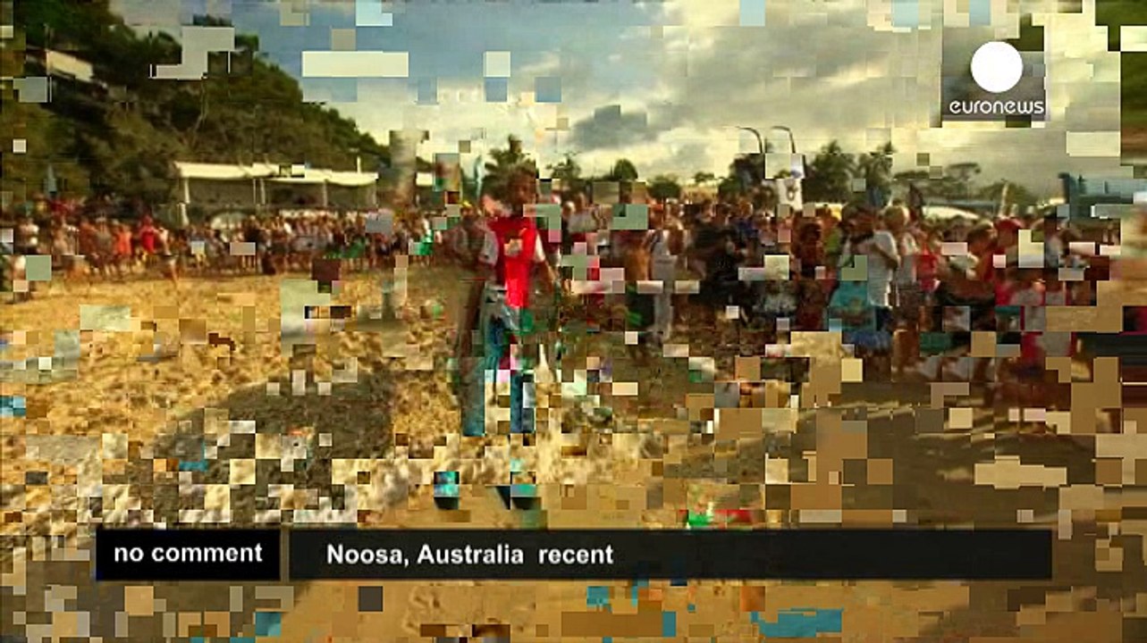 Canines compete to be top dog of the surf