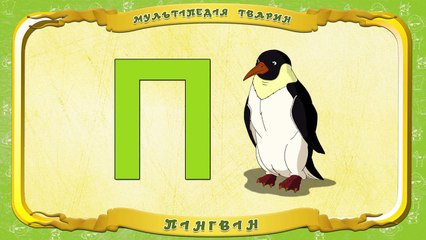 Мультіпедія тварин Літера П Пінгвін