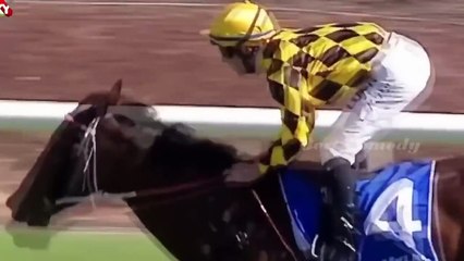 Приколы 2015 Смешное Видео Ржач[6]