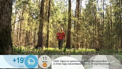 Мини-печь из консервной банки