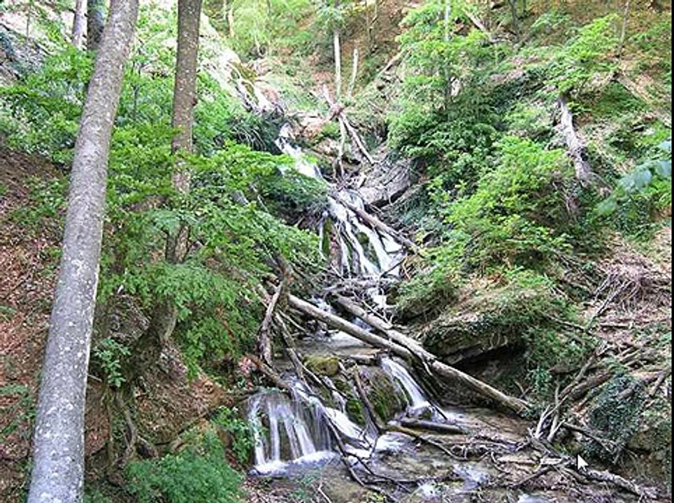 Игра Найди собаку 196, 197, 198, 199, 200 уровень - ВКонтакте - Ответы, подсказки, прохождение