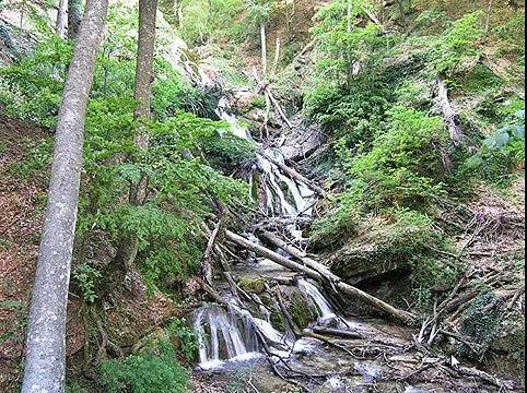 Игра Найди собаку 196, 197, 198, 199, 200 уровень - ВКонтакте - Ответы, подсказки, прохождение