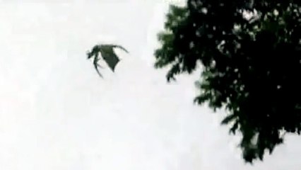 Dragon Caught on Camera in London - YouTube
