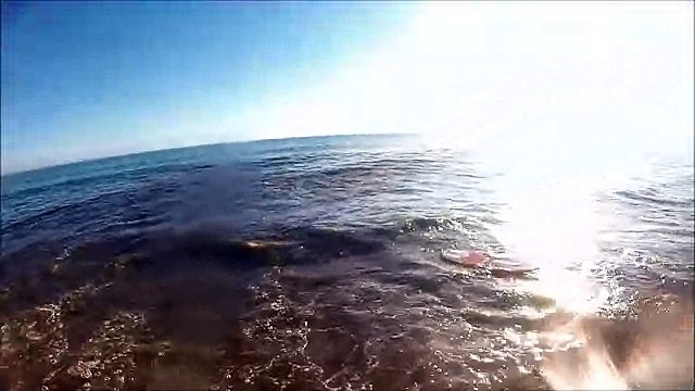 20140908 Skimboard Faro Portugal