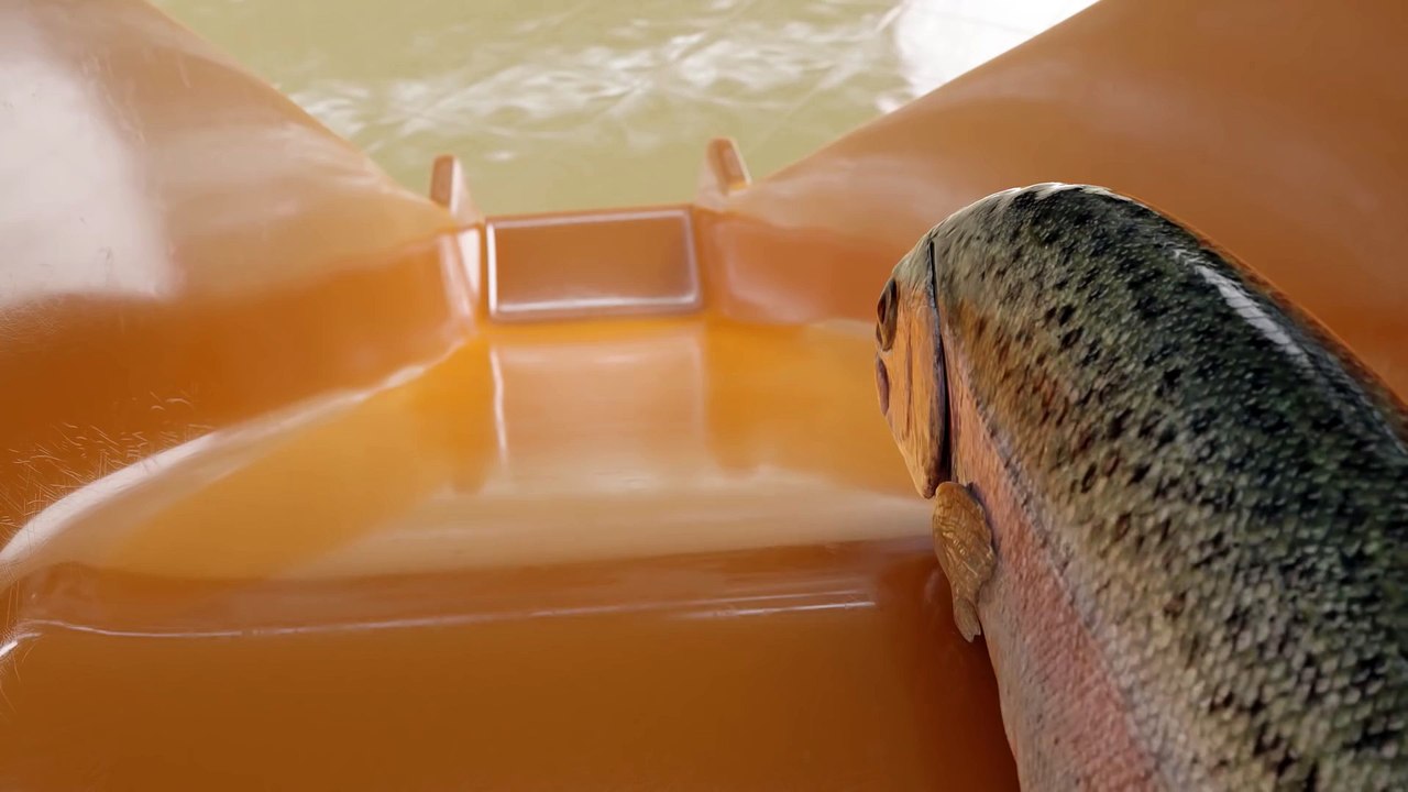 PUB  KLARNA : Smoooth. (The fish)