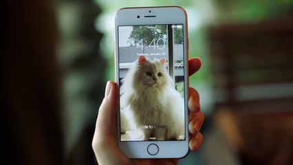 iPhone 6s - Live Photos