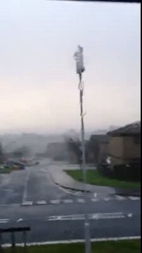 TRAMPOLINE TRAMPOLINE (CRAZY WINDS)