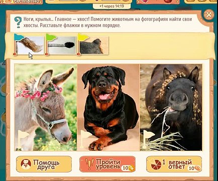 Расставляйка ответы на игру на 43 уровень. Помогите животным на фотографиях найти свои хвосты