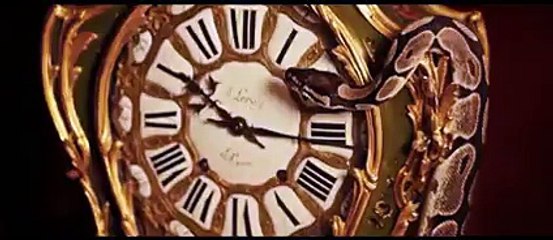 CROMA - C'EST PAS FINI