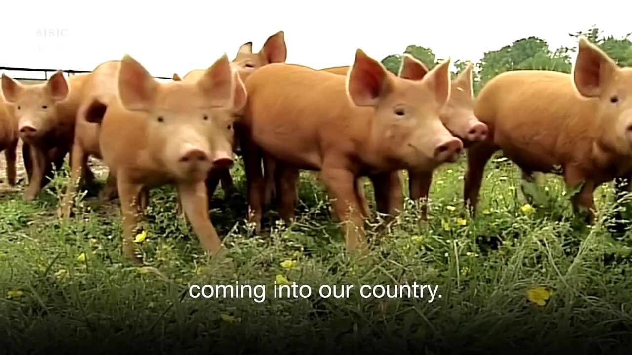 The EU in 10 Objects: The sausage - BBC News