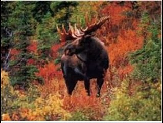 Sanctify the Lord God in Your Hearts