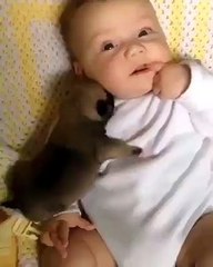 Cuteness overload-Puppy and babies