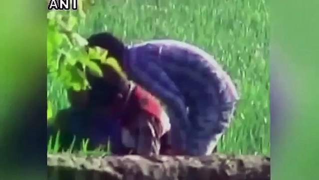 Mass cheating in UP board exams; 57 students, 14 teachers booked