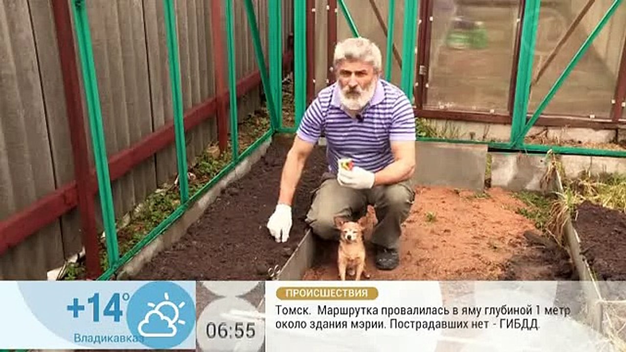 Трубка для посадок