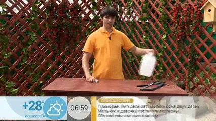 Совок для дачи