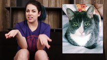 Crazy Stories About Cat Sh*t