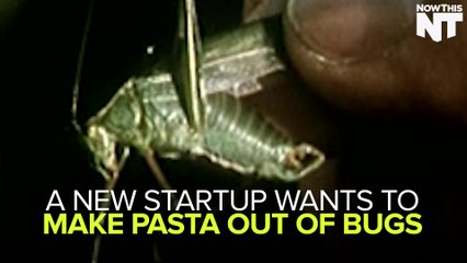 Would Eat Pasta That's Made Of Crickets?