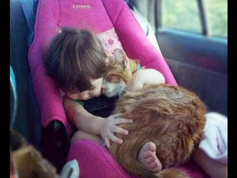 confira lindas imagens Bebês + gatos, lindas imagens, fofas, incríveis, belas
