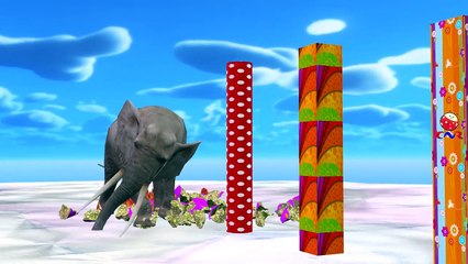 Elephant Cartoon Fighting And Singing Finger Family Nursery Rhymes For Children